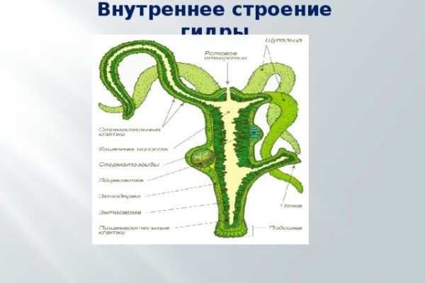 Кракен зеркало сегодня