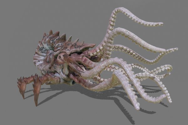 Http kraken 2kr